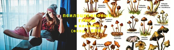 jwh Балахна