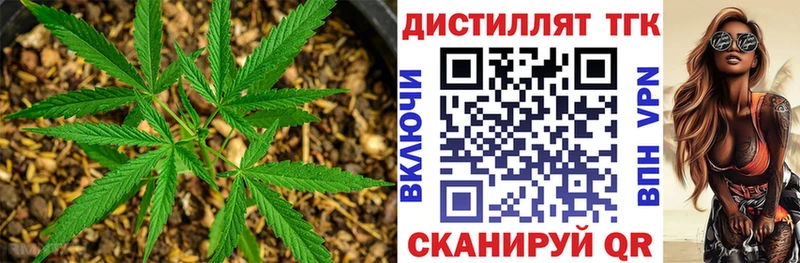 ТГК концентрат  Невельск 